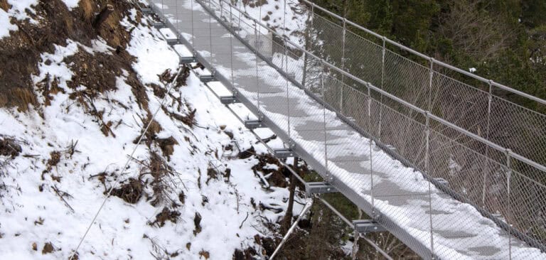 The Balmberg Rope Bridge