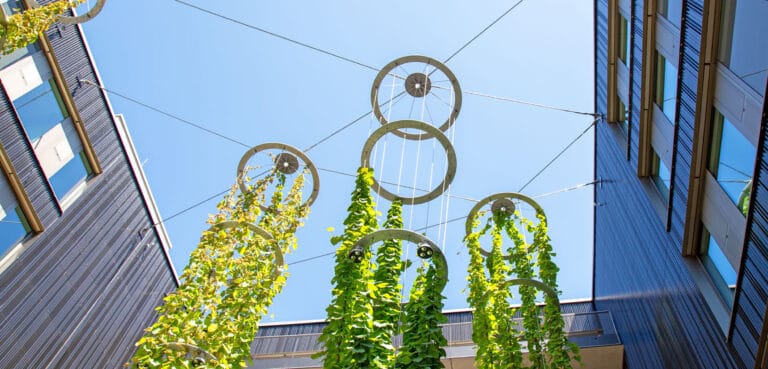 The Courtyard That Breathes