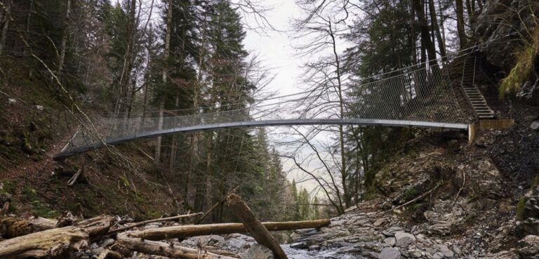 When the Net Is the Bridge